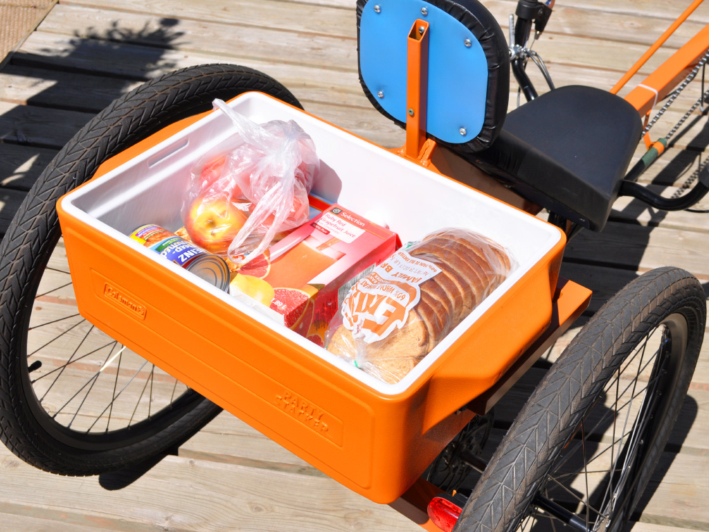 TimberWolf Recumbent Trike - cargo trike